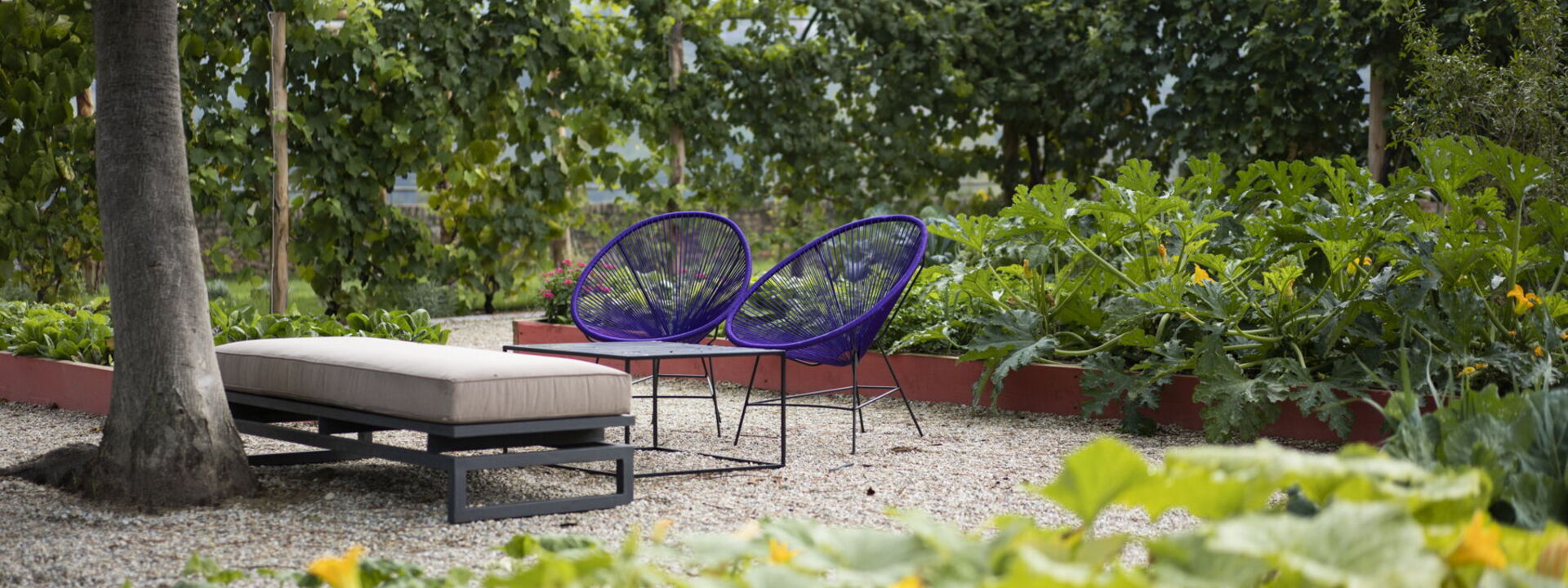 Luxury Langhe, Pool, Bike, Experience Vigne Di Fagnano Eco Relais: Autumn, Garden, Spring, Summer