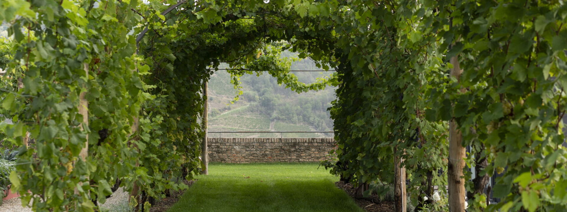 Luxury Langhe, Pool, Bike, Experience Vigne Di Fagnano Eco Relais: Autumn, Garden, Spring, Summer