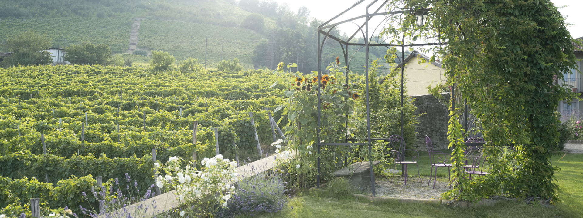 Luxury Langhe, Pool, Bike, Experience Vigne Di Fagnano Eco Relais: Autumn, Garden, Spring, Summer