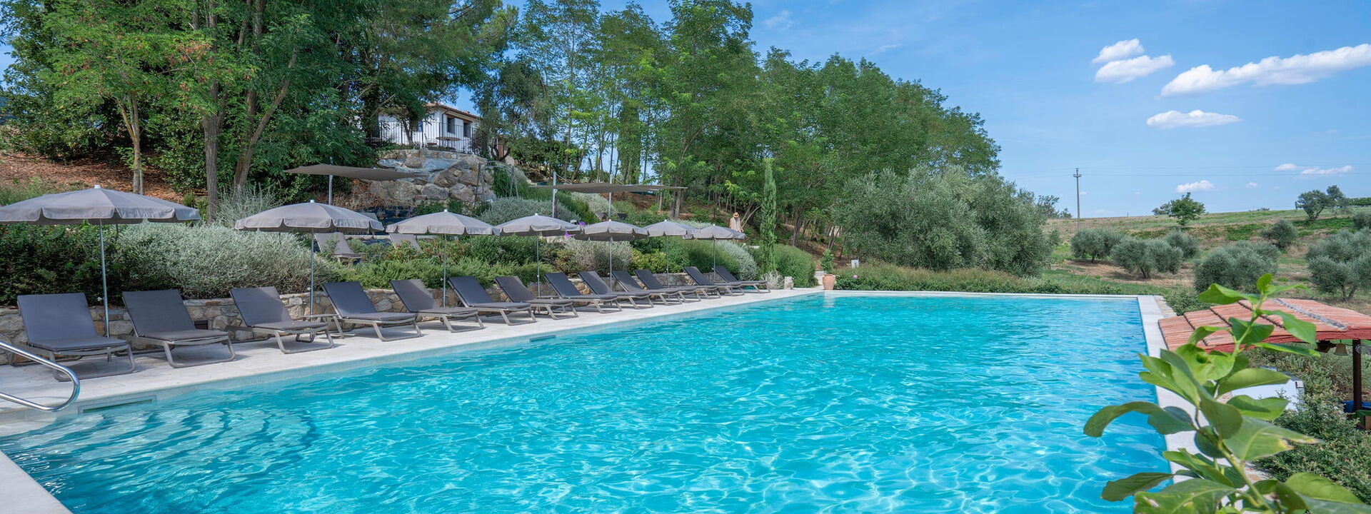 Belmonte Spereto Apartment With Pool, Montaione: Autumn, Pool, Spring, Summer