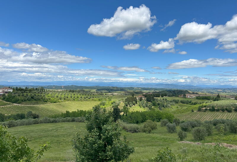 Belmonte Spereto Apartment With Pool, Montaione: Automne, Été, Printemps, Vues