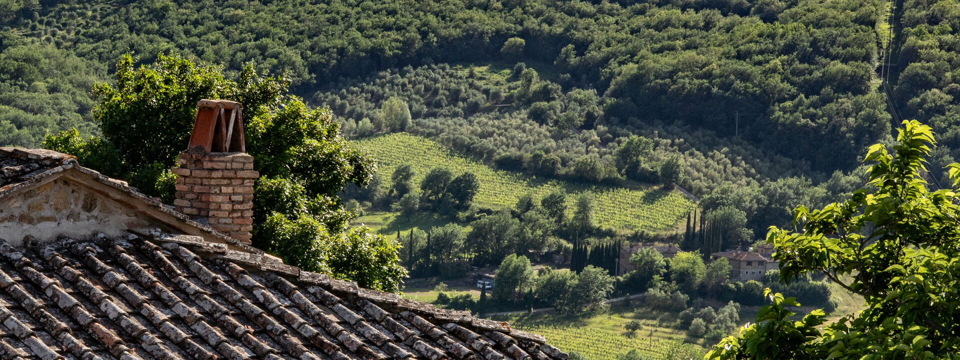 Il Casolese Vignamaggio, Private Pool, Nature, Greve In Chianti: Autunno, Estate, Primavera, Vista Panoramica
