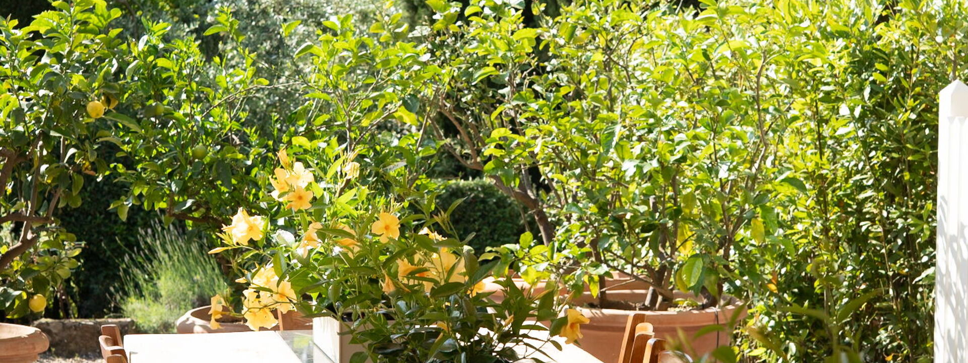 Il Casolese Vignamaggio, Private Pool, Nature, Greve In Chianti: Autunno, Balcone / Terrazza / Patio, Estate, Primavera