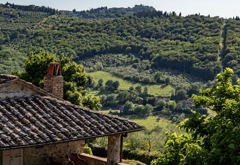 Il Casolese Vignamaggio, Private Pool, Nature, Greve In Chianti: Automne, Été, Printemps, Vues