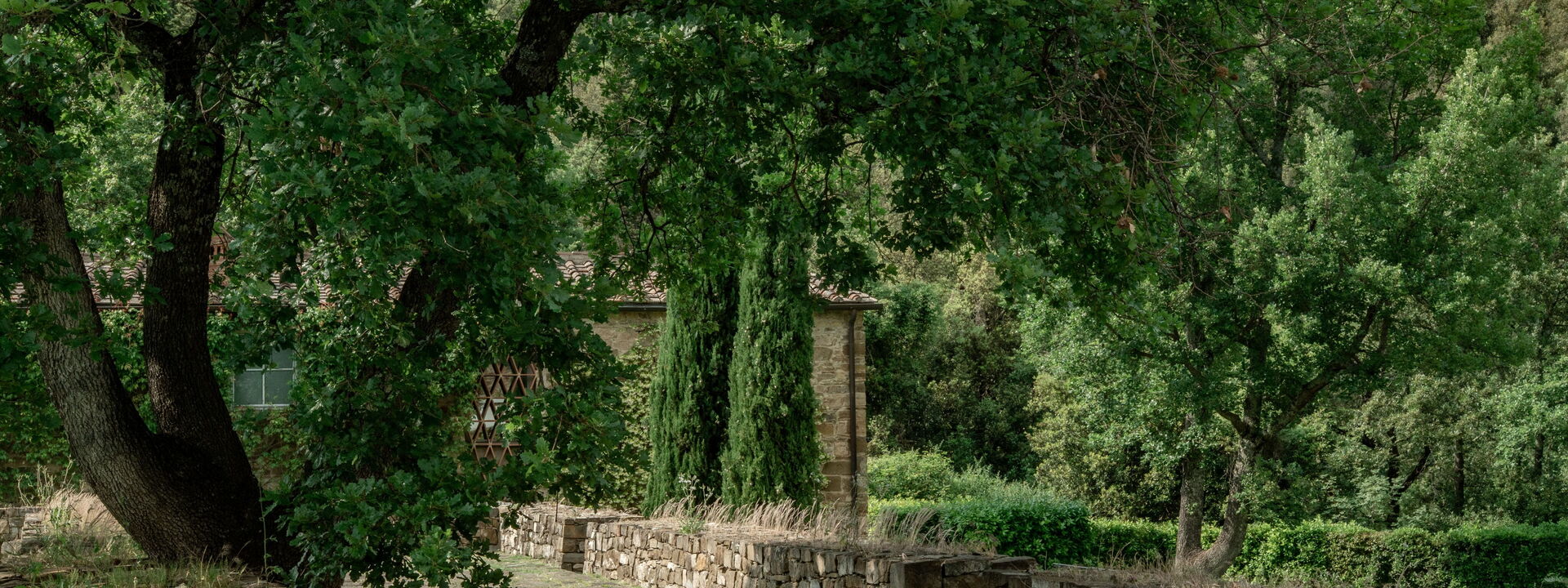 Il Prato Vignamaggio Private Pool, Nature, Greve In Chianti