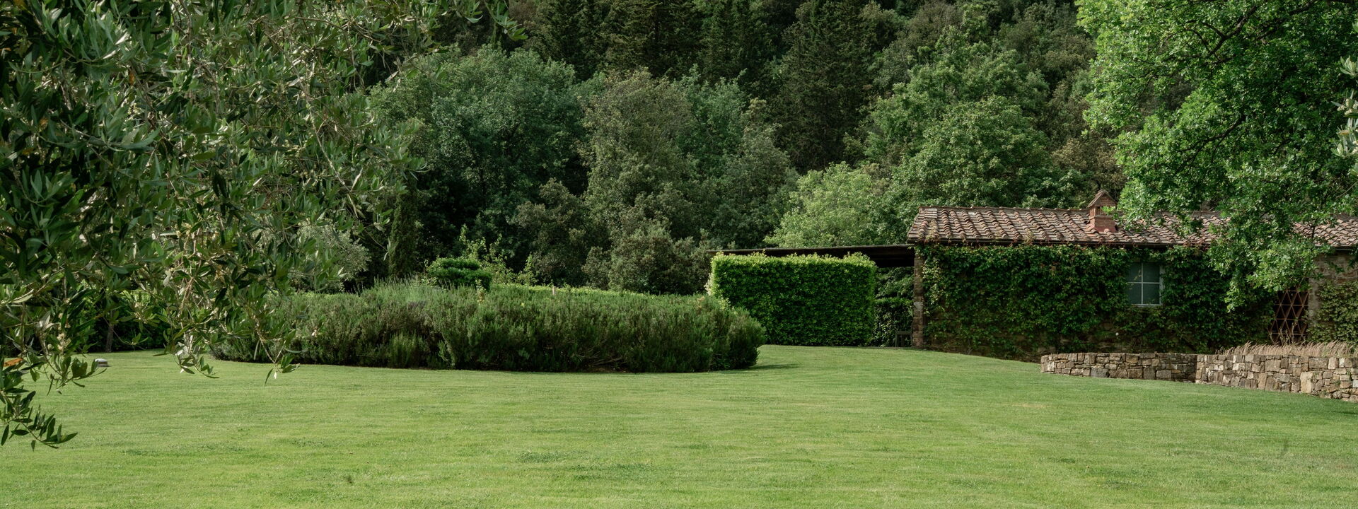 Il Prato Vignamaggio Private Pool, Nature, Greve In Chianti