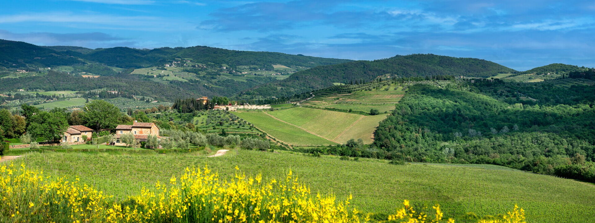 Il Prato Vignamaggio Private Pool, Nature, Greve In Chianti: Autunno, Estate, Primavera, Vista Panoramica