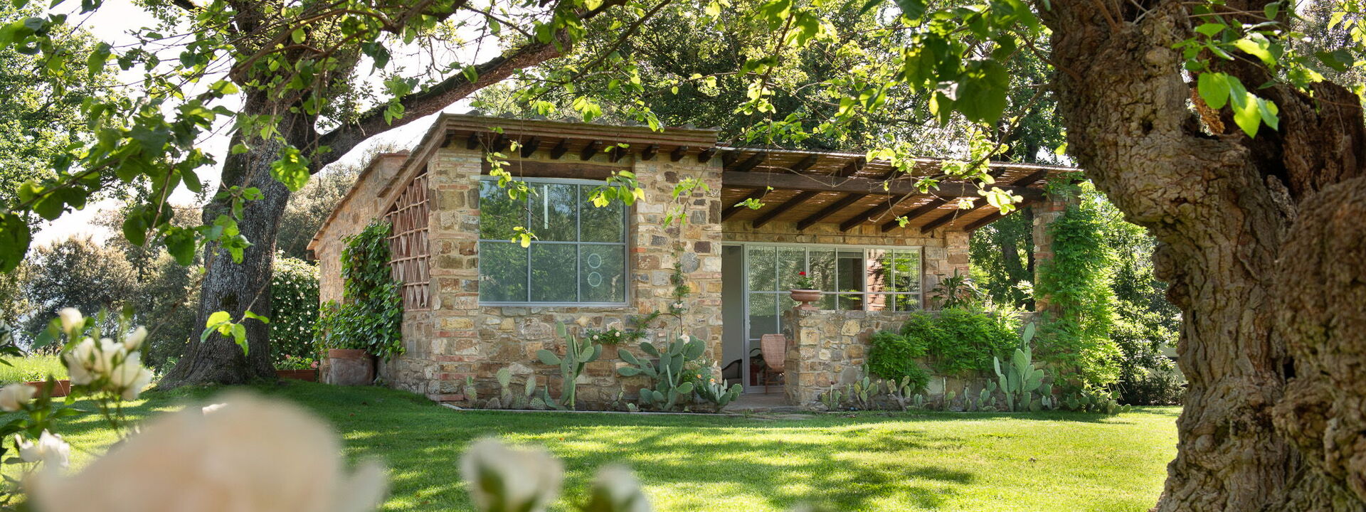 Il Prato Vignamaggio Private Pool, Nature, Greve In Chianti: Autunno, Estate, Giardino, Primavera