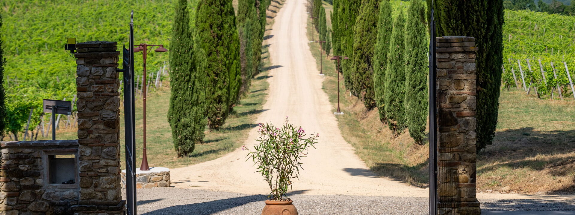 Relais Badia a Passignano: Autunno, Estate, Esterni, Primavera
