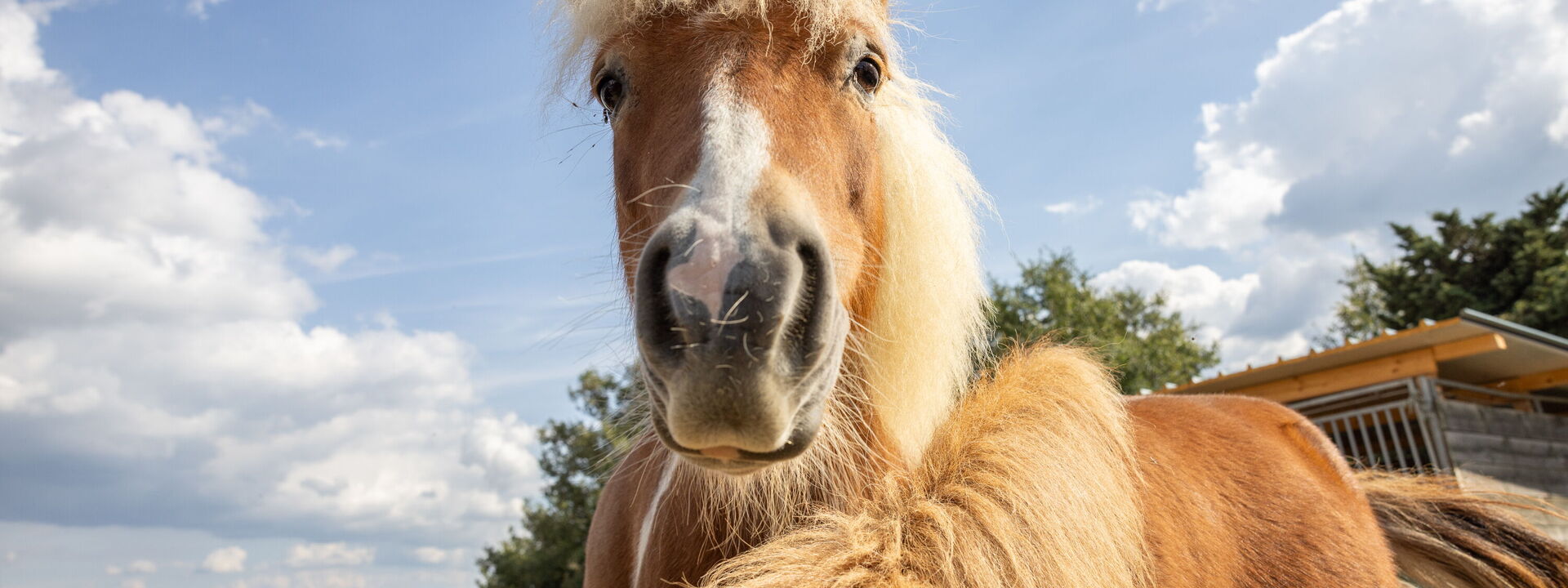 Villa Airone Tegoni, Pool, Radicondoli: all'aperto, Attività, Autunno, Estate, Primavera