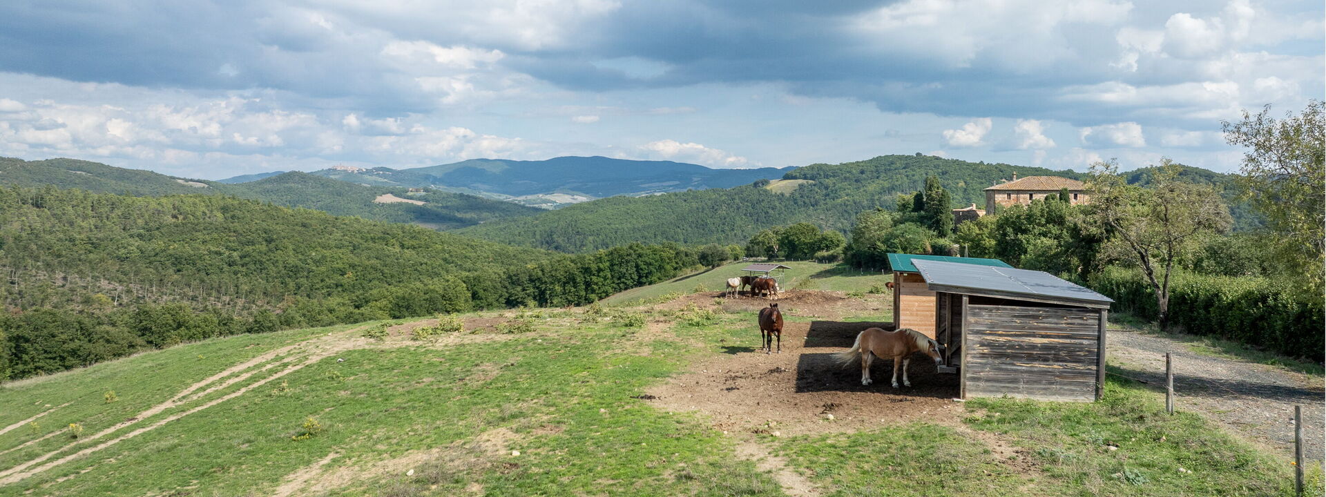 Villa Airone Tegoni, Pool, Radicondoli: all'aperto, Attività, Autunno, Estate, Primavera