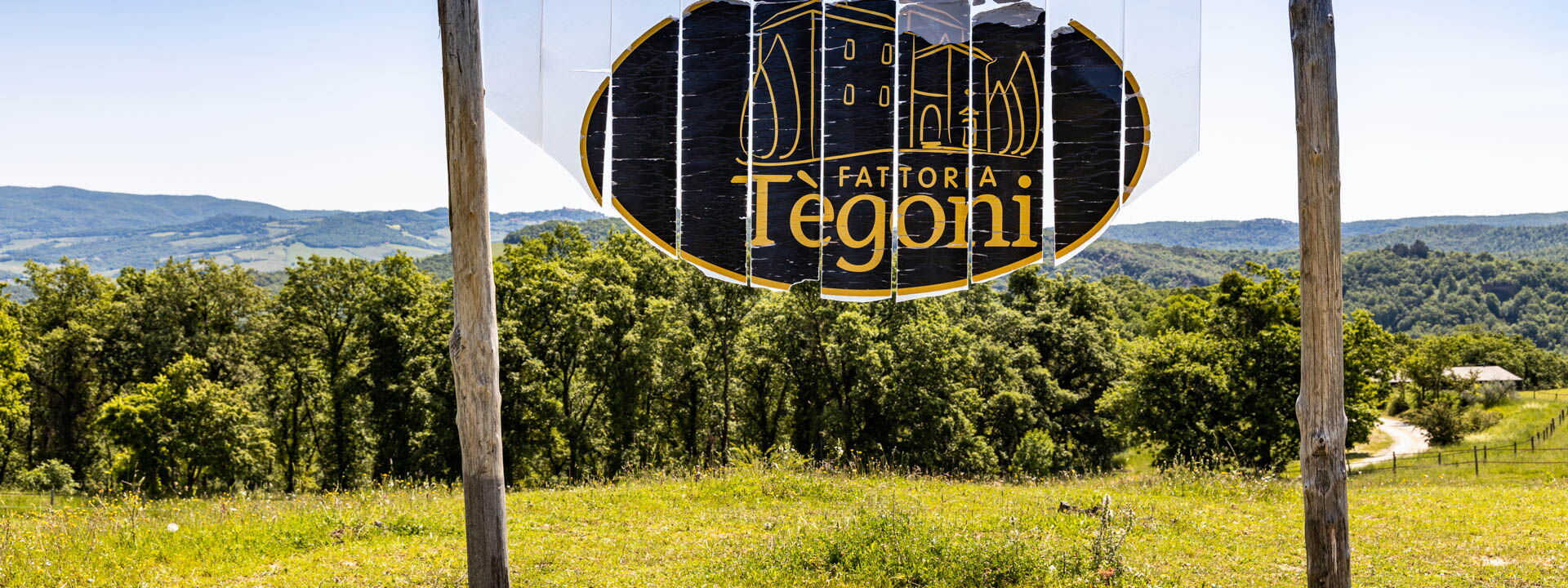 Villa Airone Tegoni, Pool, Radicondoli: Autunno, Estate, Esterni, Primavera