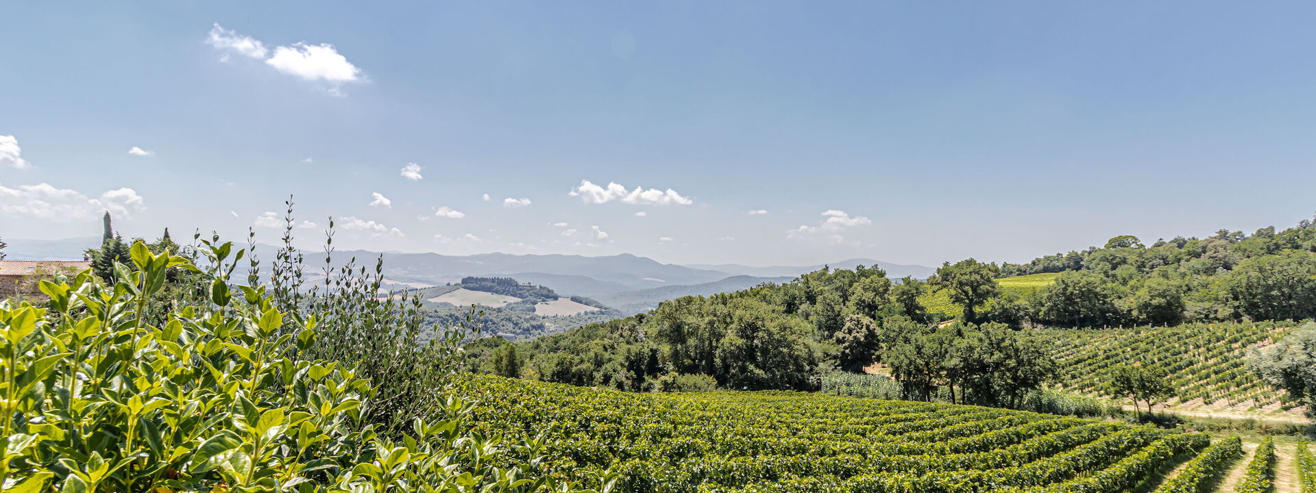Villa la Cerbaina: Esterni, Vista Panoramica