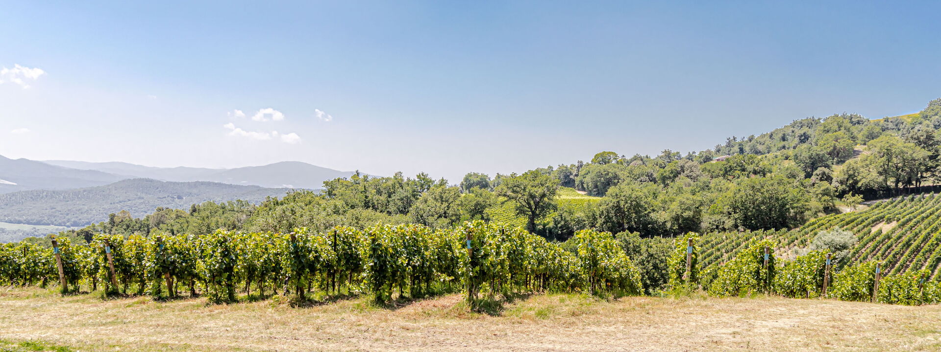 Villa la Cerbaina: Esterni, Vista Panoramica