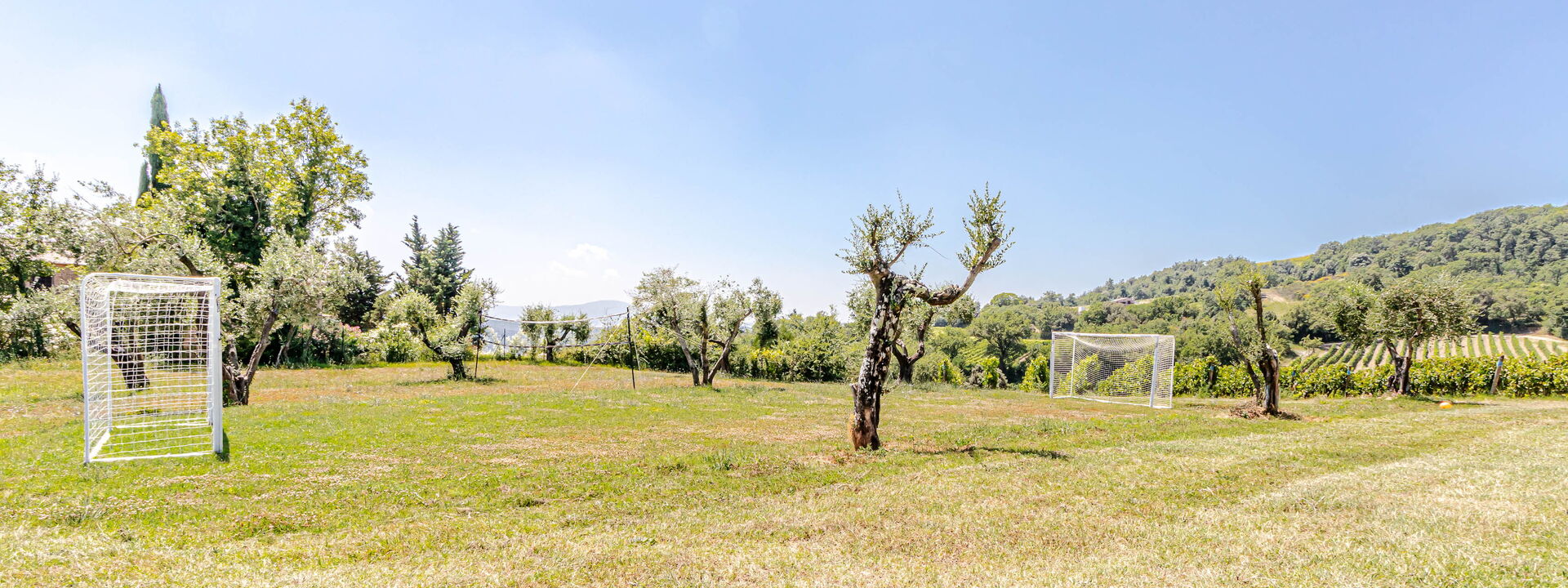 Villa la Cerbaina: Esterni, Giardino