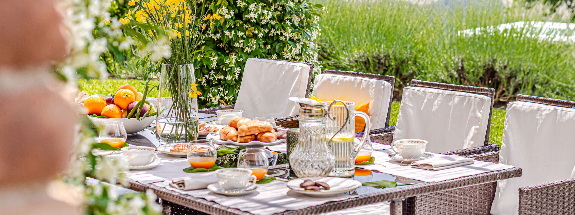 Villa la Cerbaina: Cibo, Esterni, Giardino