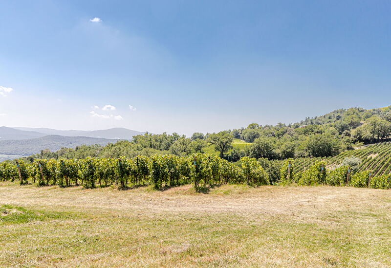 Villa la Cerbaina: Esterni, Vista Panoramica