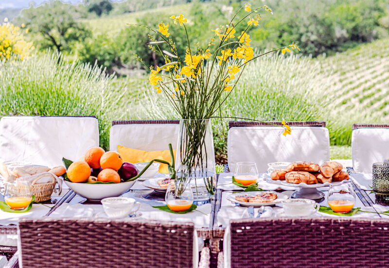 Villa la Cerbaina: Cibo, Esterni