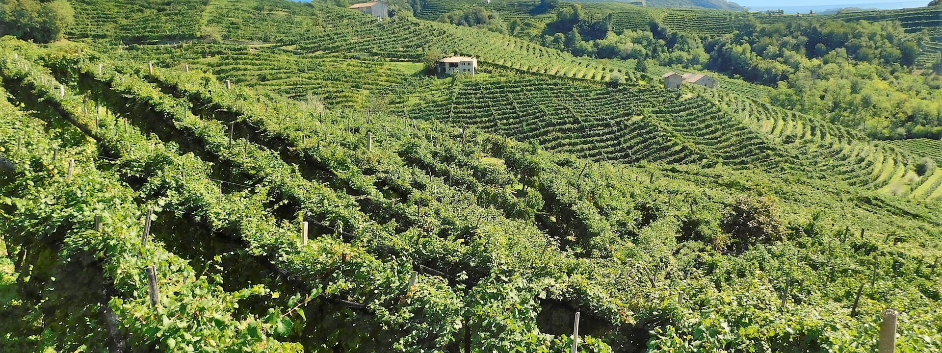 Villa Dolce Bacio, Pool and Spa, Valdobbiadene: Autunno, Estate, Primavera, Vista Panoramica