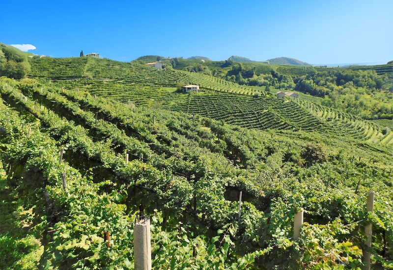 Villa Dolce Bacio, Pool and Spa, Valdobbiadene: Autunno, Estate, Primavera, Vista Panoramica