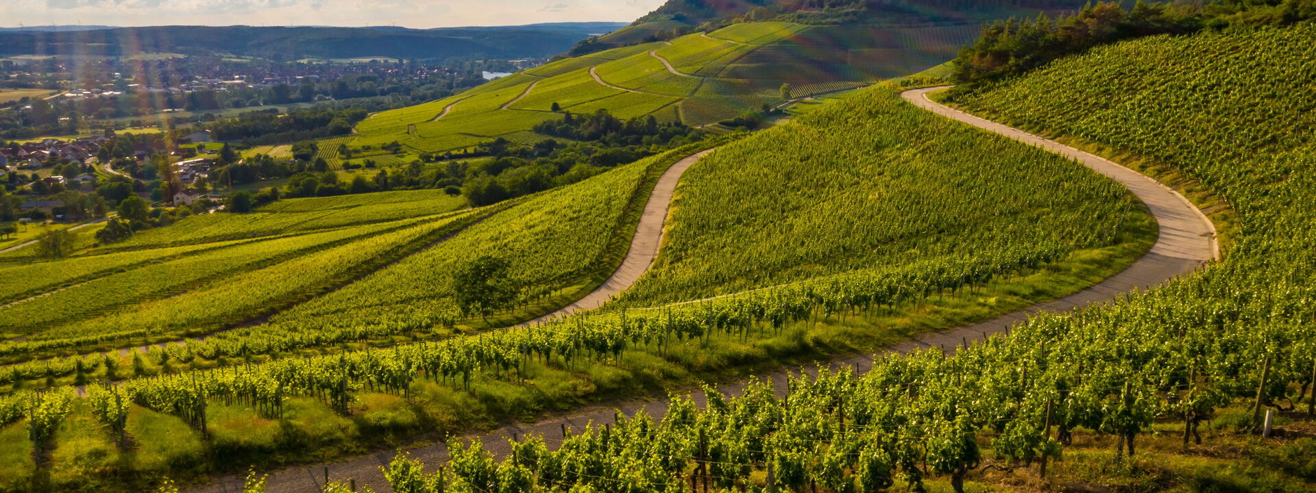 Villa Bocchi: all'aperto, Attività, Autunno, Inverno, Primavera, Vista Panoramica