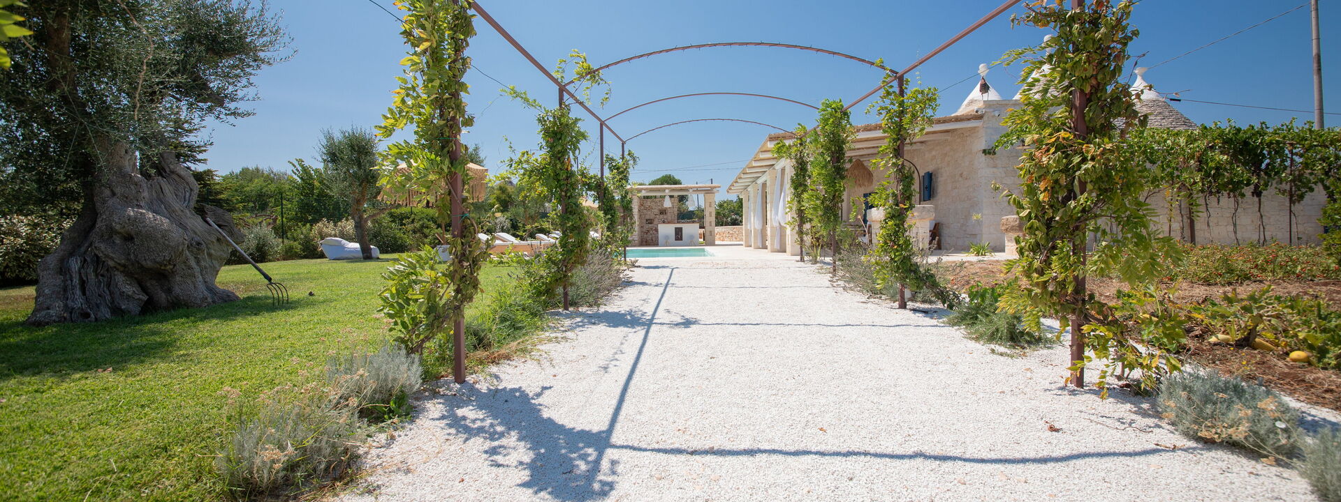 Trulli Valle D'Itria - Martina Franca: Autumn, Building Exterior, Garden, Main Entrance, Outdoor, Spring, Summer, Winter
