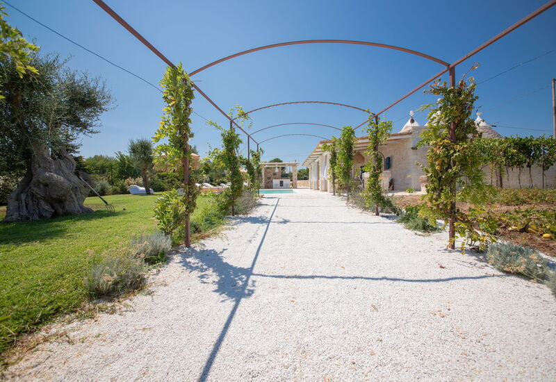 Trulli Valle D'Itria - Martina Franca: Außen, Draussen, Frühling, Garten, Haupteingang, Herbst, Sommer, Winter