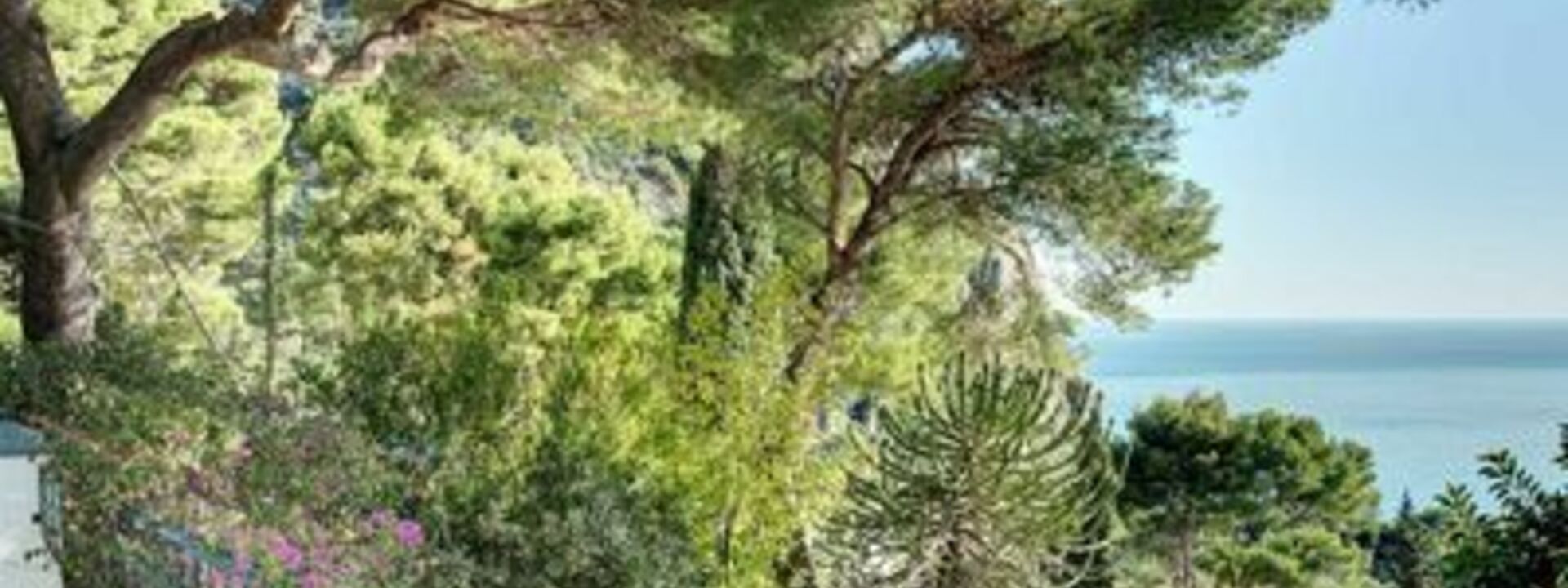 Villa Marina Little Beach: villa-marina-little-beach-capri-villa-esterno