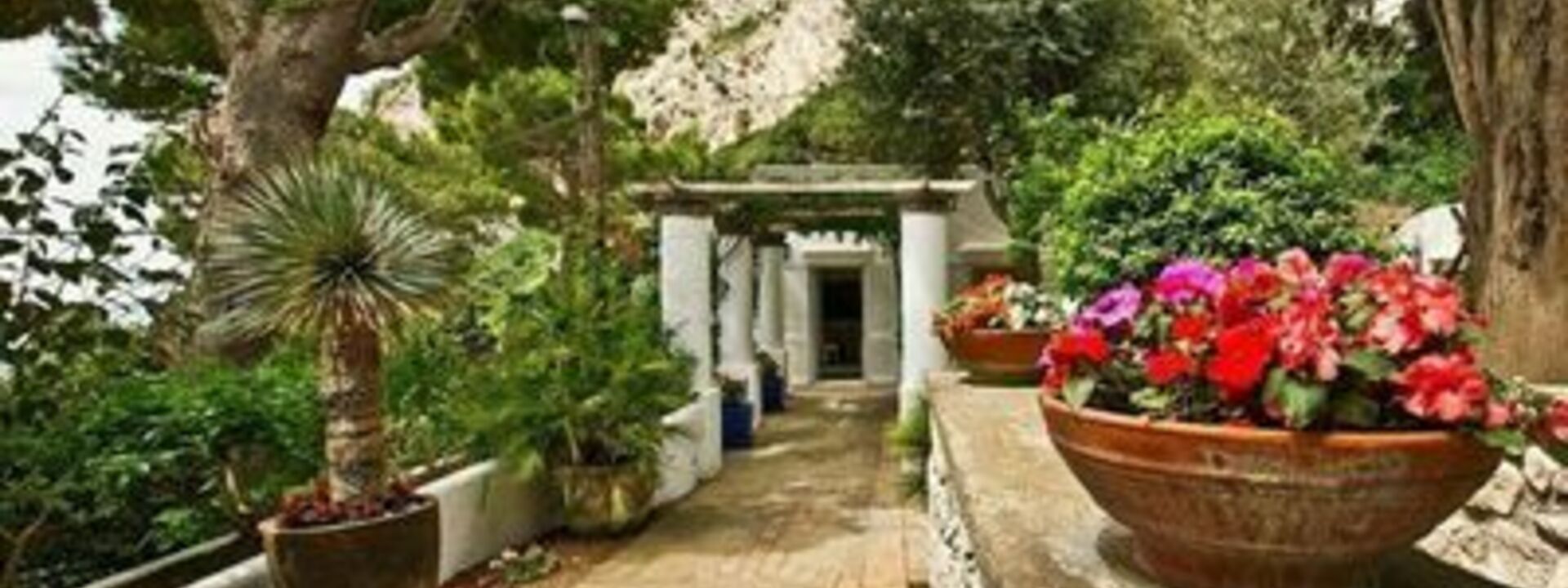 Villa Marina Little Beach: villa-marina-little-beach-capri-villa-esterno