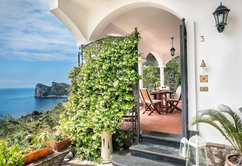 Medusa And The Seahorse Villa