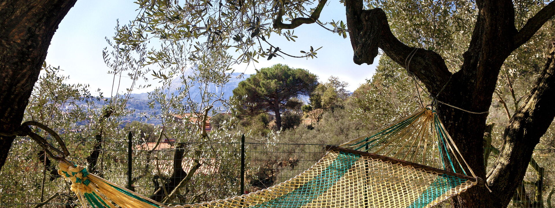 La Villa Dell'olio: la-villa-dell-olio-massa-lubrense-villa-esterno