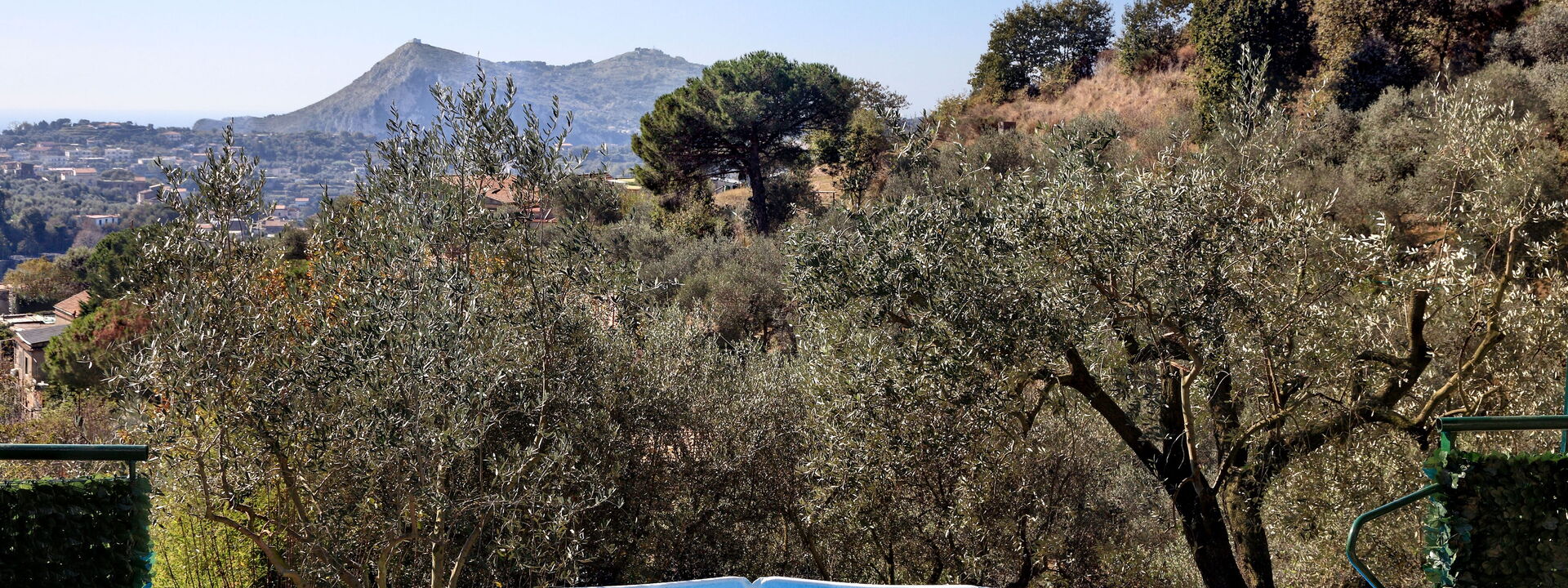 La Villa Dell'olio: la-villa-dell-olio-massa-lubrense-villa-piscina