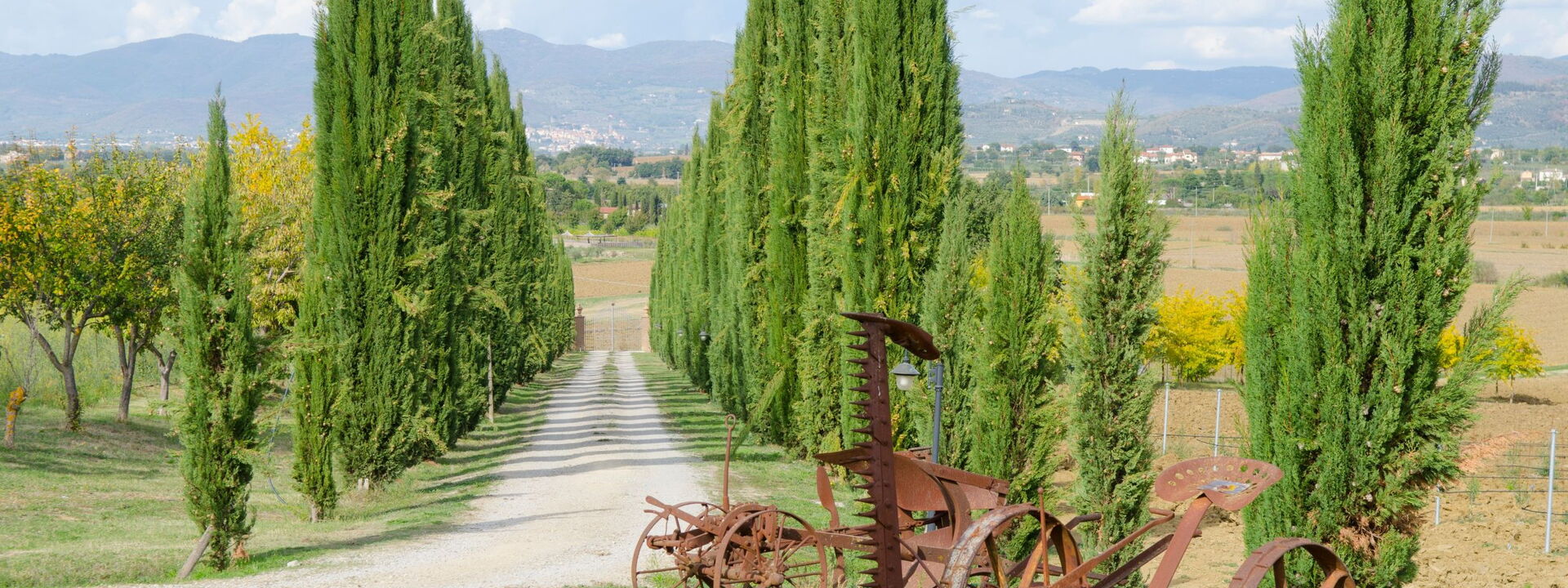 Relais Sogno Dei Fiori: relais-sogno-dei-fiori-fratticiola-cortona-villa-garden