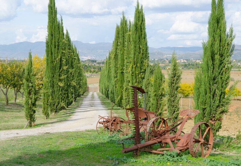 Relais Sogno Dei Fiori: relais-sogno-dei-fiori-fratticiola-cortona-villa-garden
