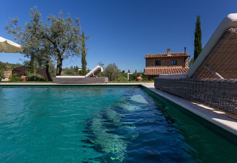 Villa Ligheia: bassin