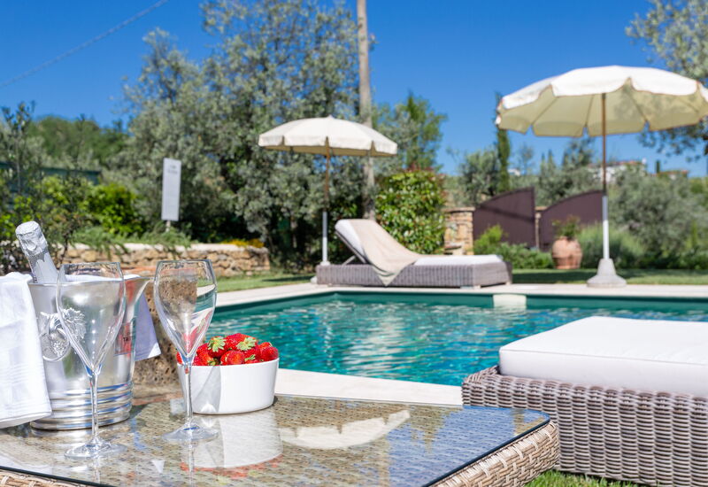 Villa Ligheia: bassin