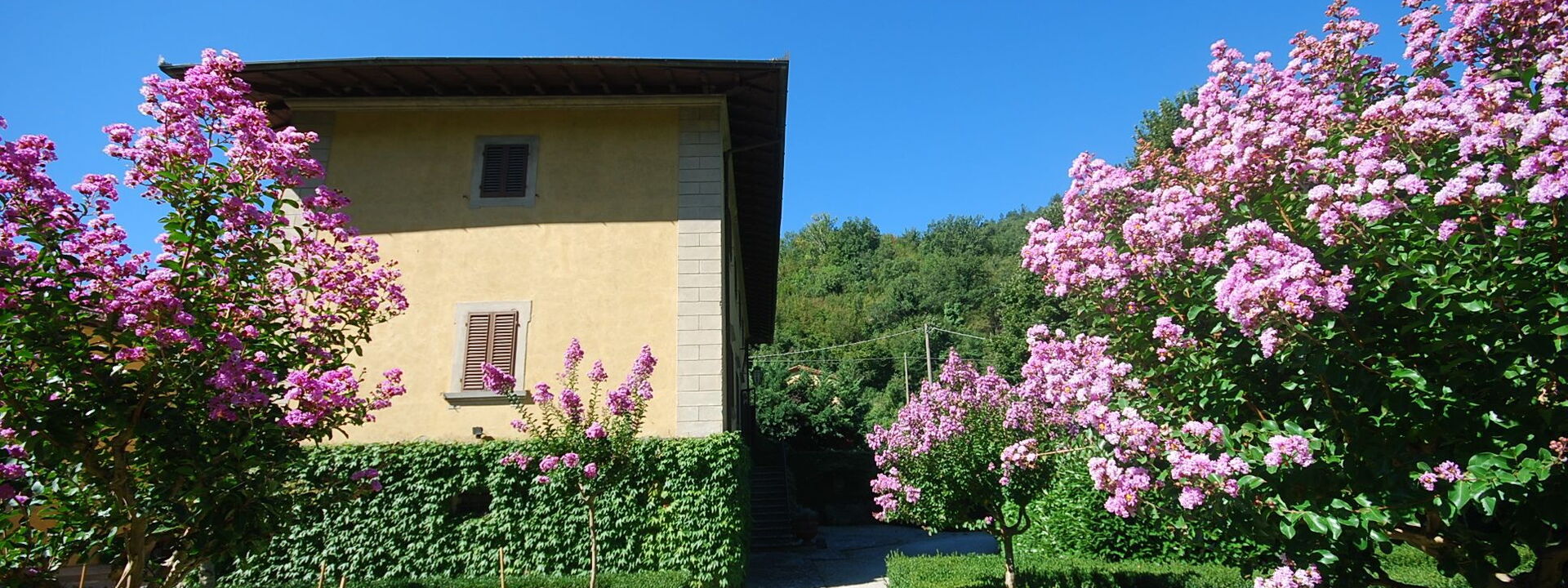 Villa Salaiole: Extérieurs