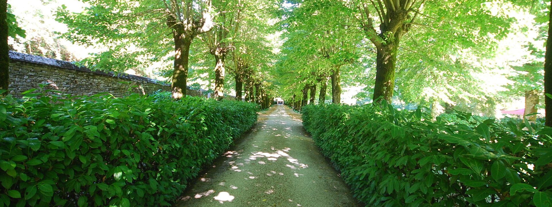 Villa Salaiole: Entrée principale