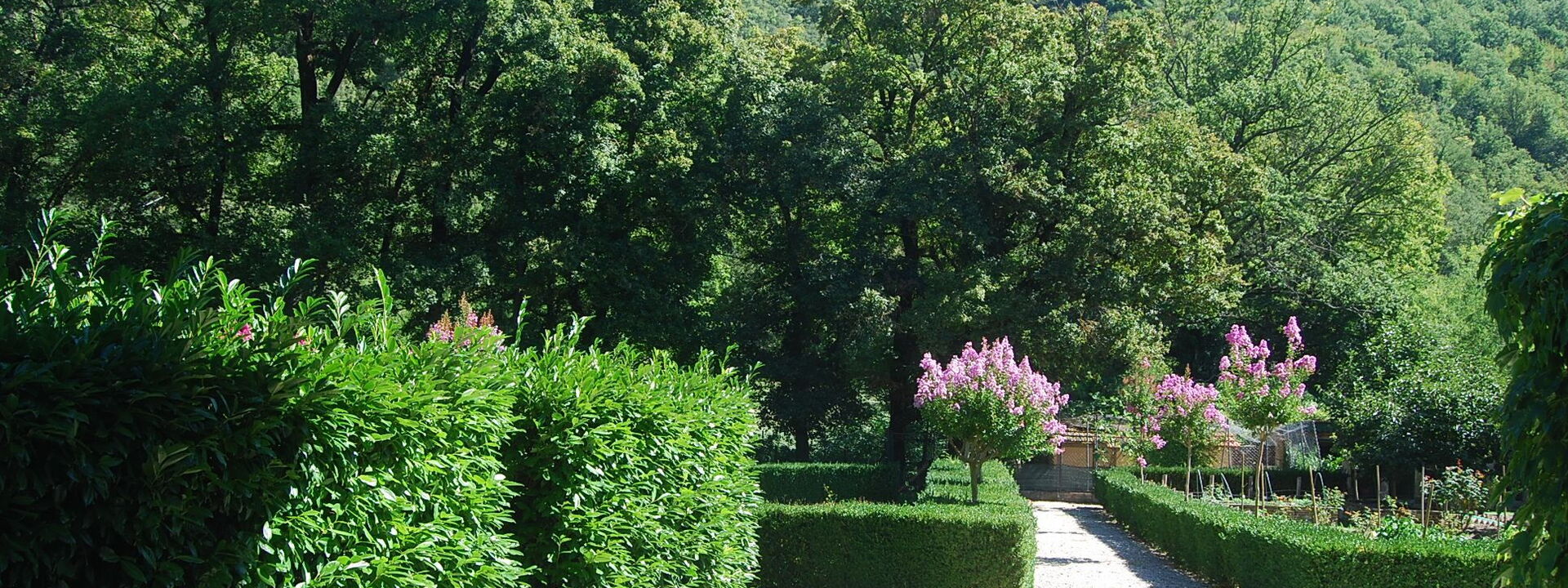 Villa Salaiole: Jardin
