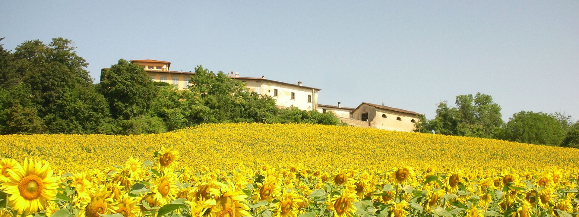 Villa i Delfini: Vista Panoramica