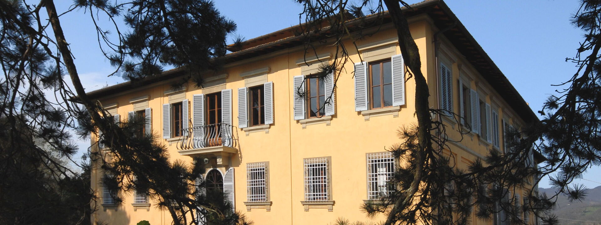 Villa i Delfini: Esterni