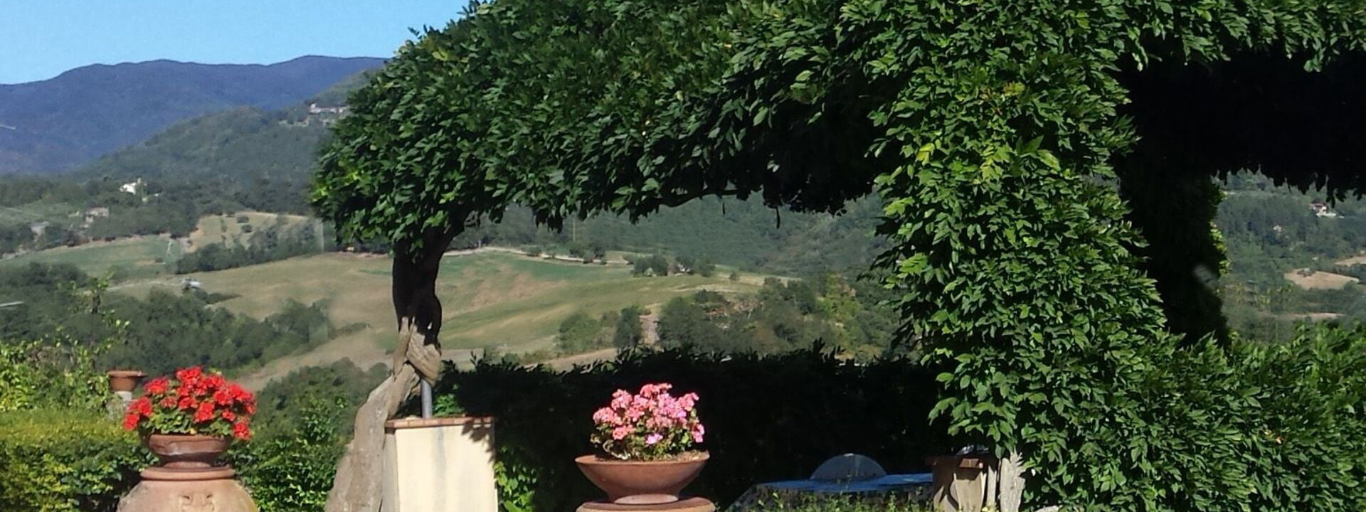 Villa i Delfini: Balcone / Terrazza / Patio