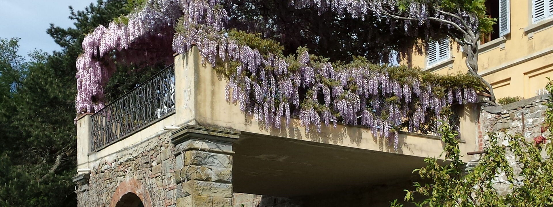 Villa i Delfini: Balcone / Terrazza / Patio
