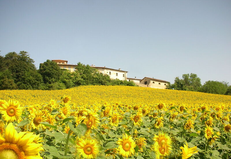 Villa i Delfini: Ansichten