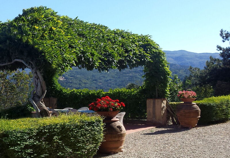 Villa i Delfini: Balkon / Terrasse / Patio
