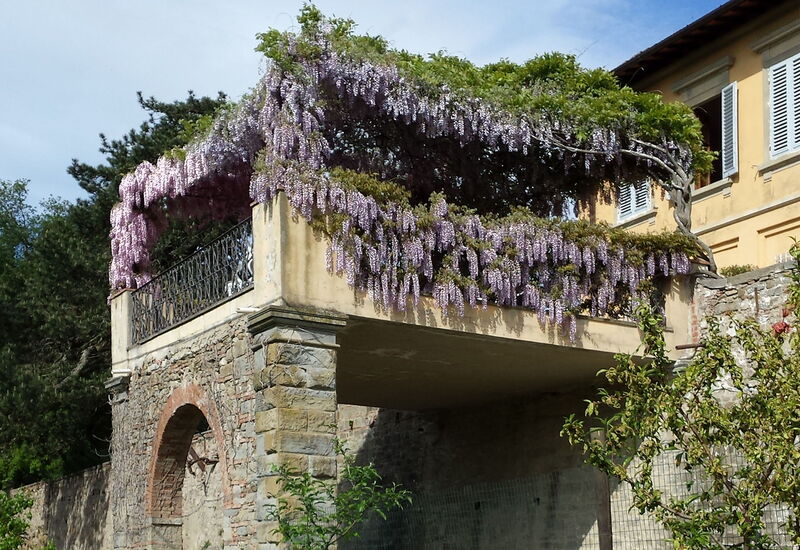 Villa i Delfini: Balkon / Terrasse / Patio