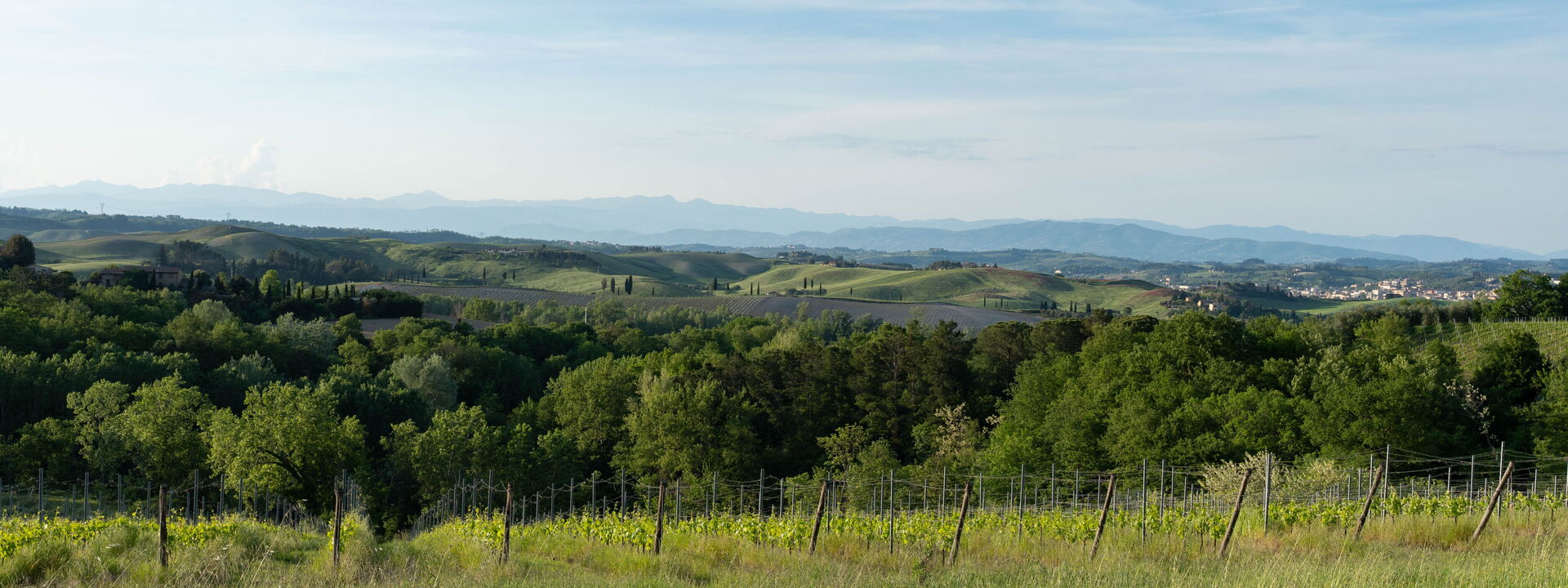 Villa Noemi: Autunno, Estate, Primavera, Vista Panoramica