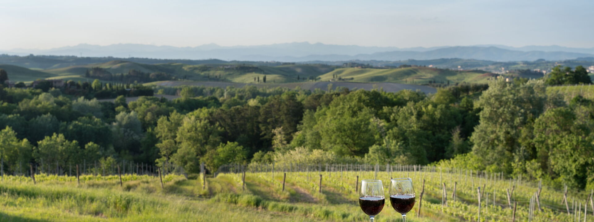 Villa Noemi: Autunno, Estate, Primavera, Vista Panoramica