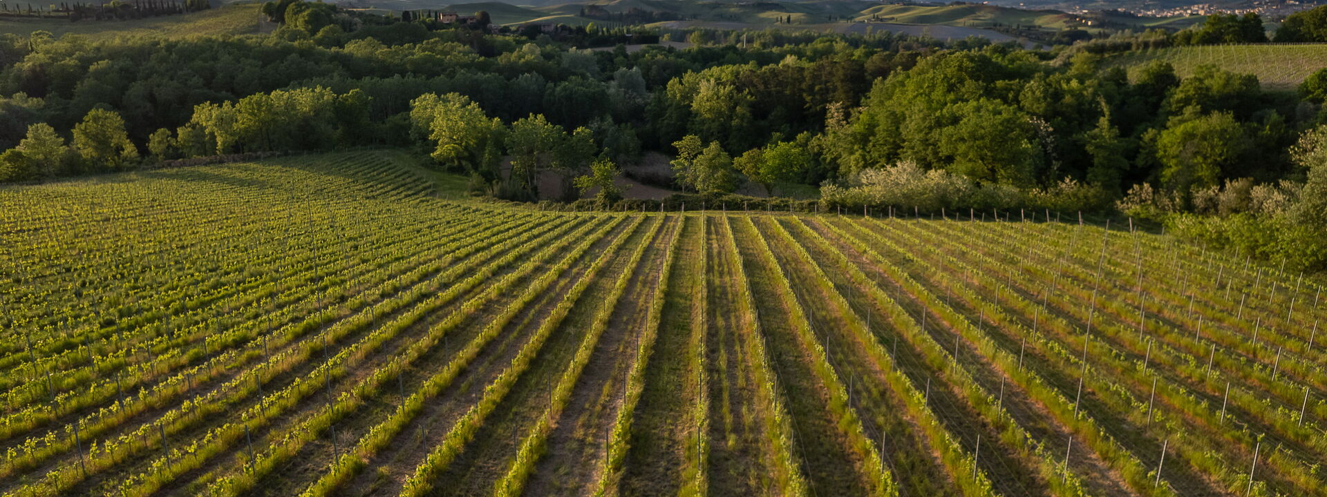 Villa Noemi: Autunno, Estate, Primavera, Vista Panoramica