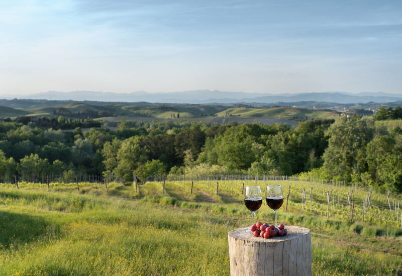 Villa Noemi: Autunno, Estate, Primavera, Vista Panoramica